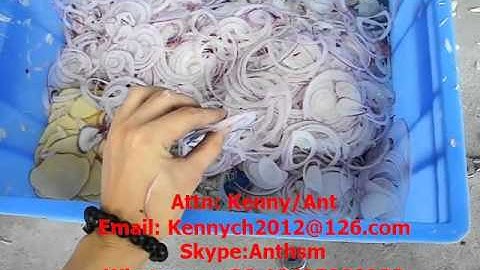 SH-100L onion vegetable slicing cutting machine, slicer, chips slice cutter