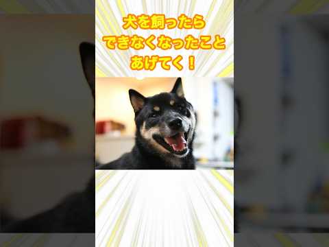 【👍で保存❣️】犬を飼ったらできなくなったことあげてく #まとめ #犬 #あるある
