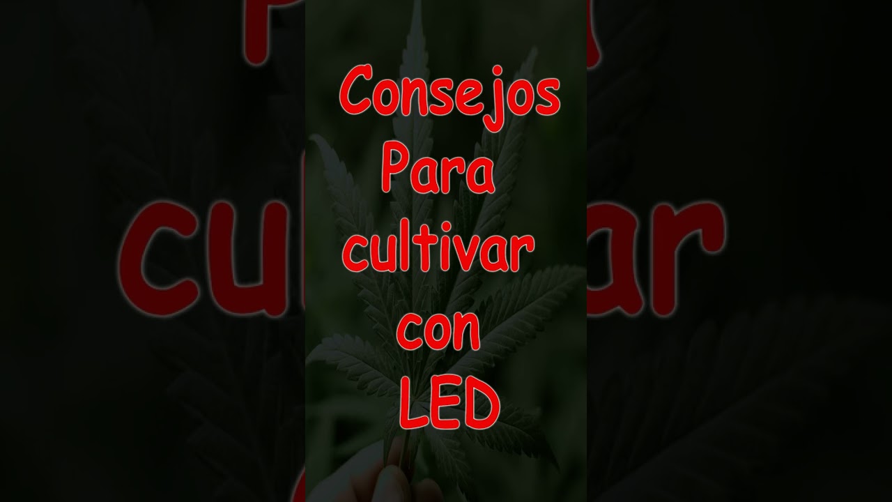 Consejos para cultivar con leds 