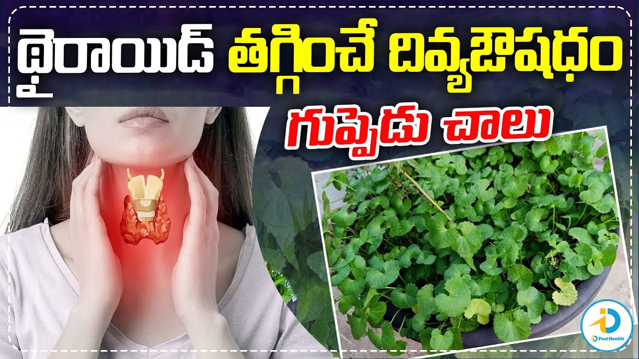 How To Decrease Thyroid Level Naturally how to decrease thyroid level naturally