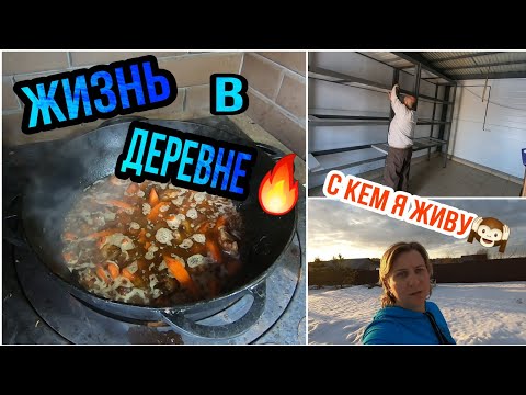VLOG: ЖИЗНЬ В