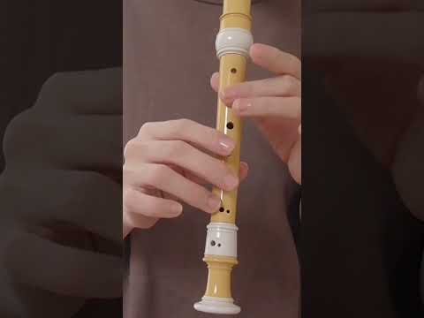 私のリコーダー わたしのリコーダー（二部合唱＋リコーダー） - YouTube