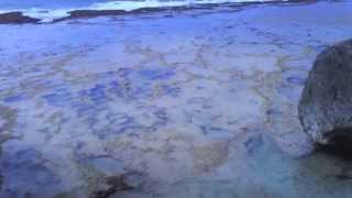 NY to Niue Part II - Chapter  22