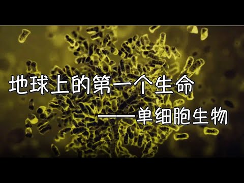 地球上的第一个生命-----单细胞生物