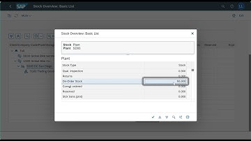 SAP Fiori (WM Process 1) - Step 2 Display Material Inventory