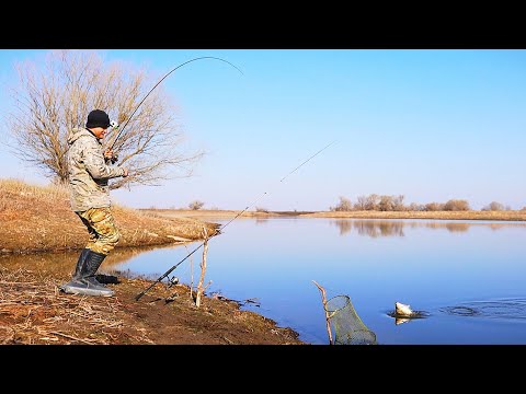 РЫБАЛКА НА КАРАСЯ. Проснулся родимый! Весна полным ходом, ловля на донки.