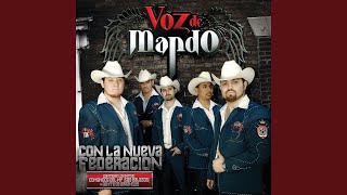 Video thumbnail of "Voz De Mando - Tu Desastre"