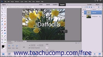 Photoshop Elements 15 Tutorial Vector Graphics Adobe Training