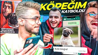 KÖPEĞİM KAYBOLDU BULANA 100 BİN TL !! (DOLANDIRICILAR ARADI)