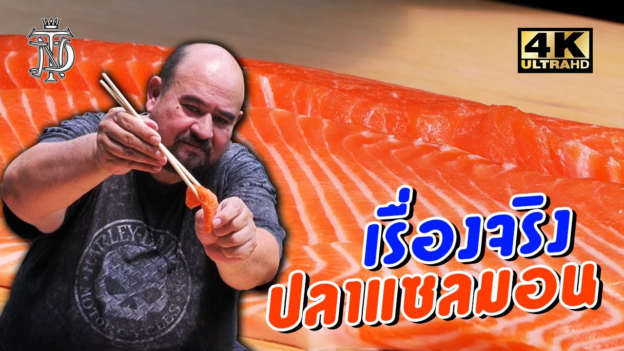 เรื่องจริง ปลาแซลมอน | The true story of salmon
