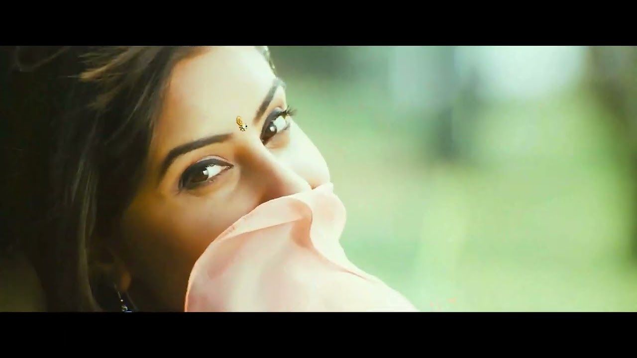 Kalalu Kaavule Video Song 4K  Allu Arjun  Varudu