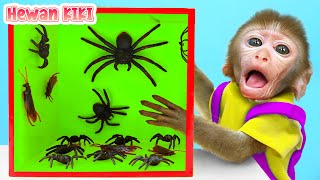 Monyet Hewan tantangan Kotak Misteri dan memakan jeli | Kartun Monyet Lucu | Hewan KIKI Channel