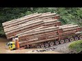 Amazing Fastest Skill Tree Felling with Chainsaw - Biggest Logging Truck &amp; Wood Lathe Working