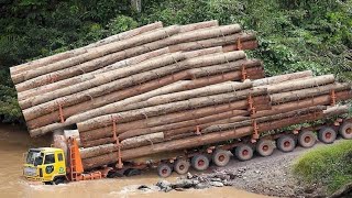 Amazing Fastest Skill Tree Felling with Chainsaw - Biggest Logging Truck &amp; Wood Lathe Working
