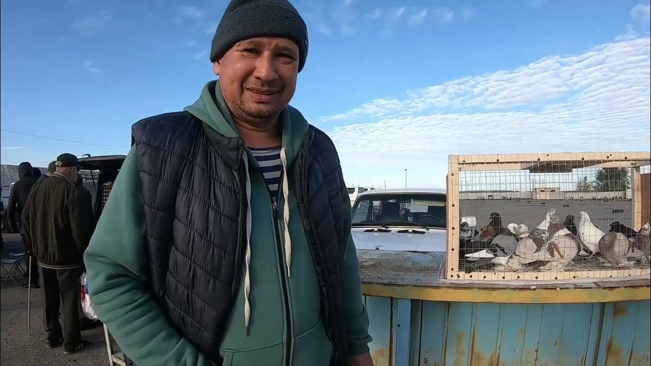 Чубой. Чубой. Чубой. Котов федор ананьевич. Чубой.