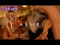 🫧ASMR Shampoo SPA🫧The Shampoo Everyone Needs After a Long Day😴💤 No Talking