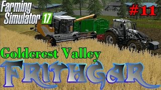 Let's Play Farming Simulator 2017, Goldcrest Valley #11 The Sampo Rosenlew! screenshot 5