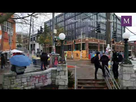 LIVE! Cal Anderson Homeless Sweep in Seattle Anarchist Jurisdiction