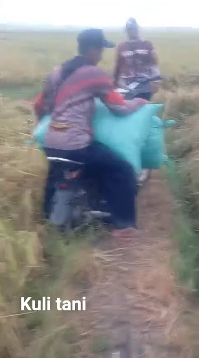 gas ae ..bar udan dalane lunyu