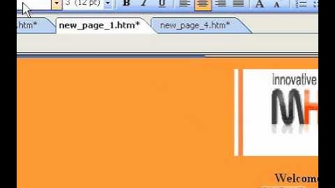 Microsoft Office FrontPage 2003 Add a text box to a form