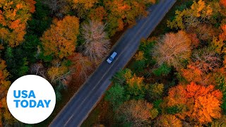 Check out the most beautiful drives to see this year's fall foliage | USA TODAY