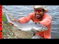 BULL SHARK Caught in FRESHWATER CANAL!