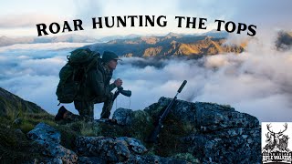 12 Day Solo Roar Hunting Adventure | West Coast New Zealand 2022