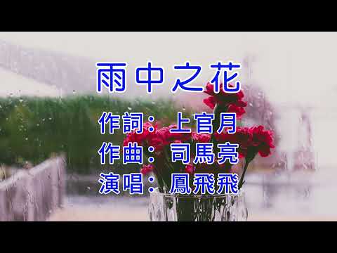 雨中之花-鳳飛飛-(伴奏+演唱)