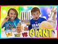 TINY THINGS VS GIANT THINGS | SWITCH UP | We Are The Davises