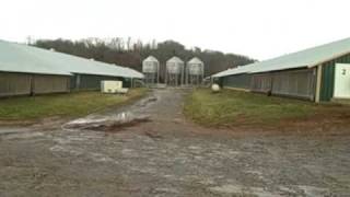 Shelbyville Tennessee poultry farm