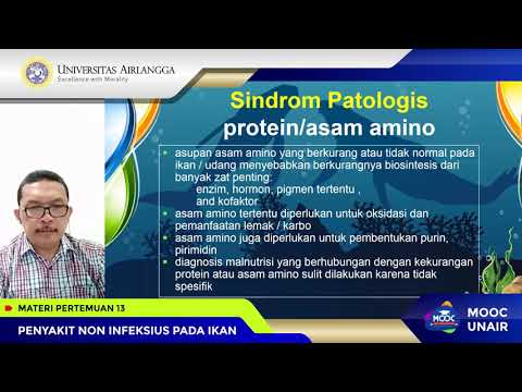 Video: Karakteristik Dan Jalur Pasien Pasien Penyakit Lyme: Analisis Retrospektif Data Episode Rumah Sakit Di Inggris Dan Wales (1998-2015)