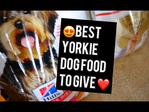 Video: How To Feed A York Puppy