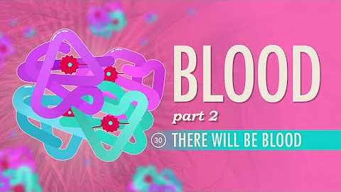 Blood, Part 2 - There Will Be Blood: Crash Course Anatomy & Physiology #30