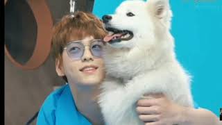 [FMV] TXT soobin - I like you so much, you'll know it
