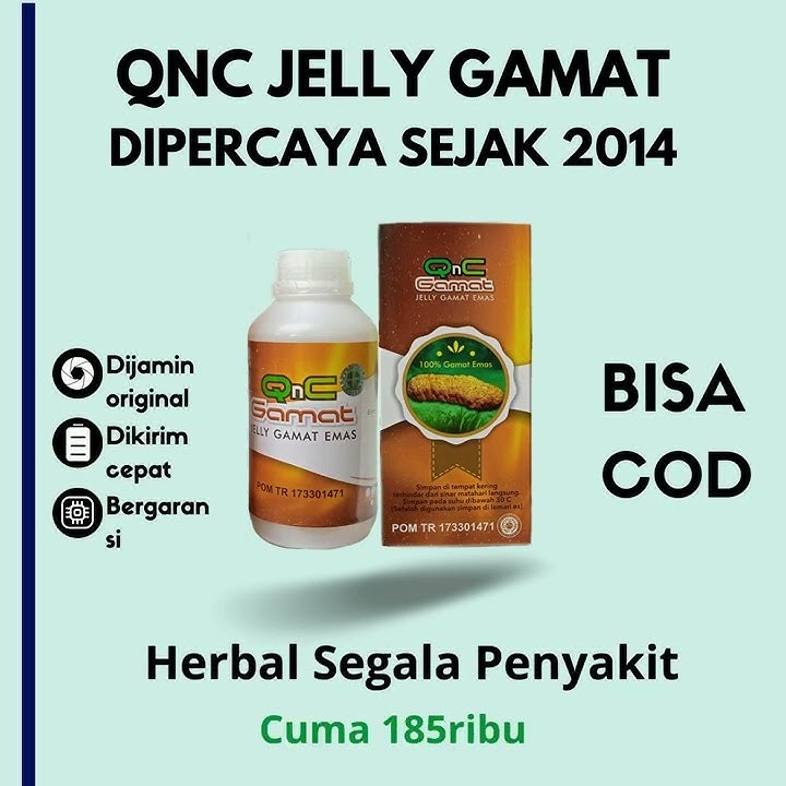 Qnc Jelly Gamat