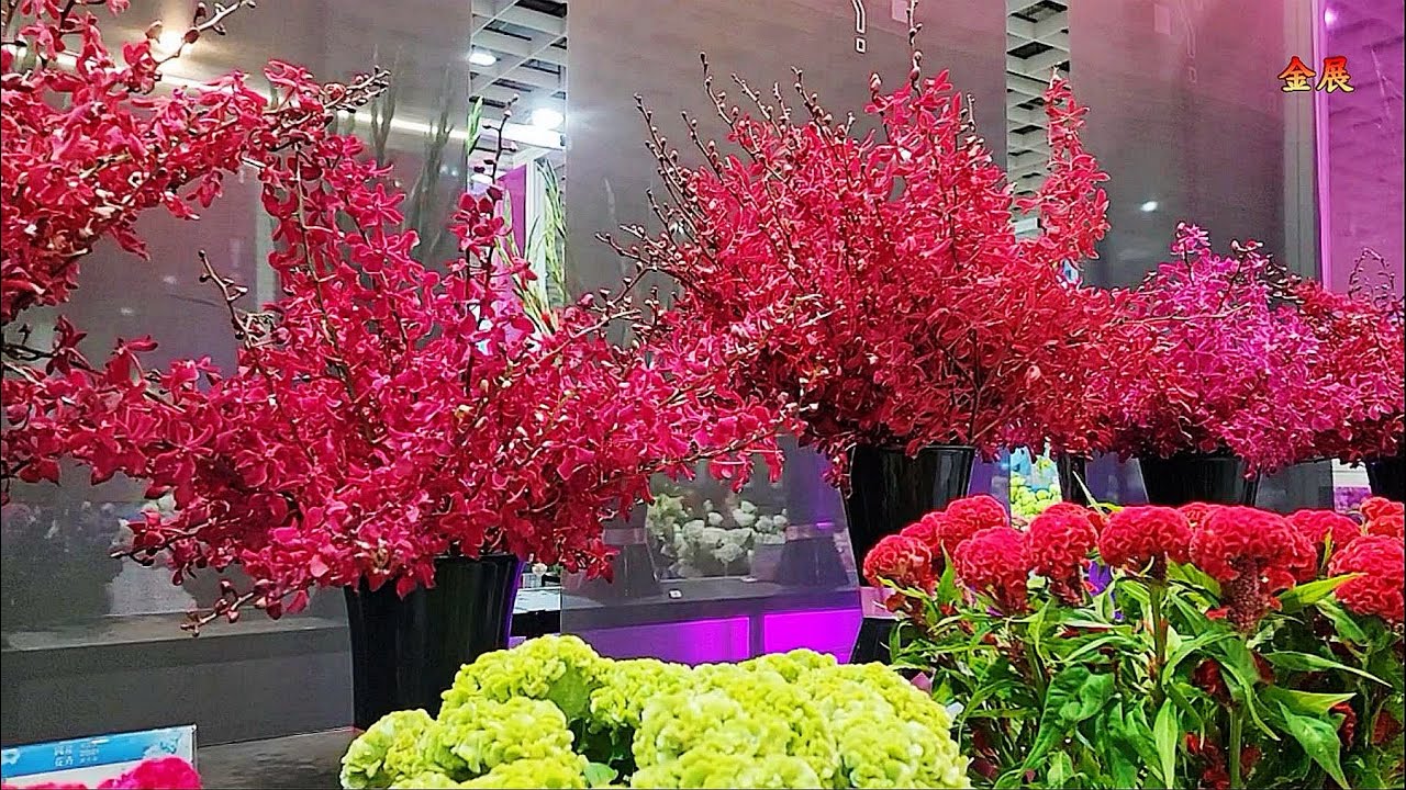 台灣切花品種展示-2021國產花卉新品種推介會 Taiwan cut flower variety display - YouTube