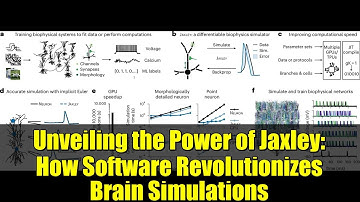 Unveiling the Power of Jaxley: How Software Revolutionizes Brain Simulations