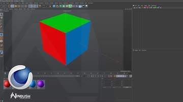 Apply Material To Selected Polygon in Cinema 4D