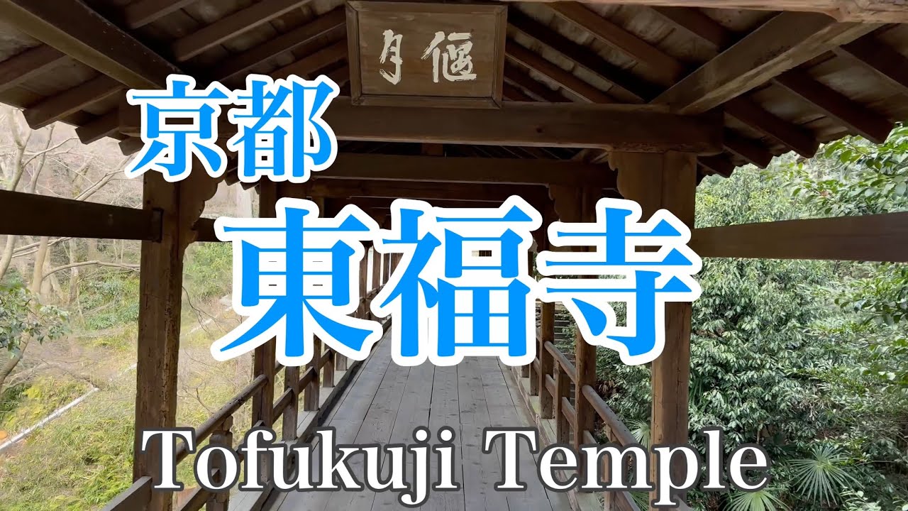 2024年3月10日 散策日和の京都東福寺を歩く Stroll around Tofukuji