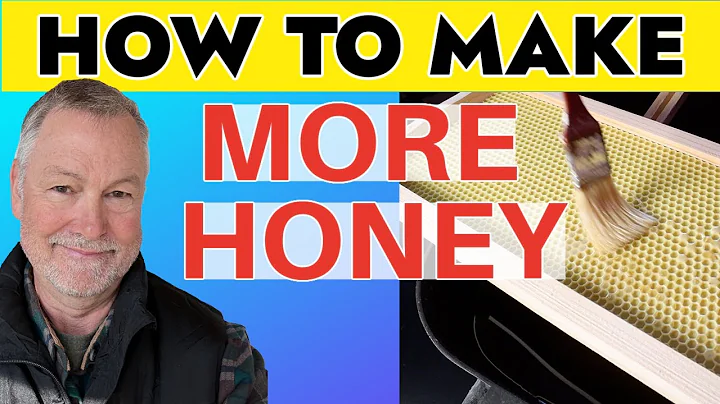Beekeeping SECRET To Making A Lot More Honey In 2023