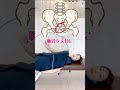 寝る前1分❗️反り腰解消して爆痩せ🔥便秘まで解消するおうちトレーニング💪 《神奈川県秦野市の整体院》　#shorts