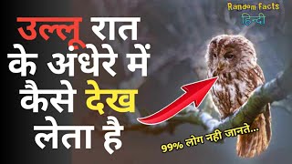 उल्लू रात्रि के अंधेरे में कैसे देख लेता है | Facts in Hindi | Amazing Facts | Random Facts #shorts