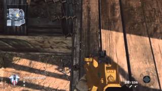 Black Ops Glitches/Tricks - Good Spot On Crisis