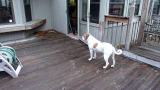 Clovis, Dusty and Hurricane Sally Play