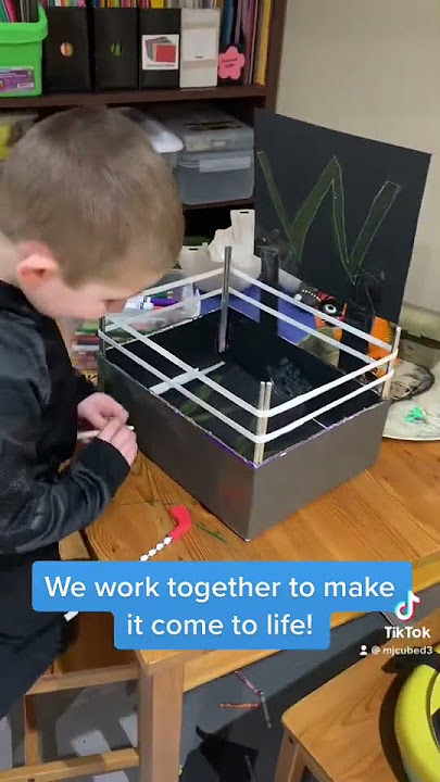 Some of the best creations come from a cardboard box! Wrestling ring comes to life… WWE rumble time!