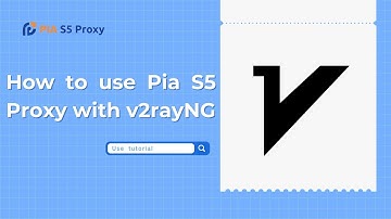 Pia S5 Proxy with v2rayNG User Guide: Safer and more stable network proxy settings