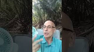 Projection as communication from self to self