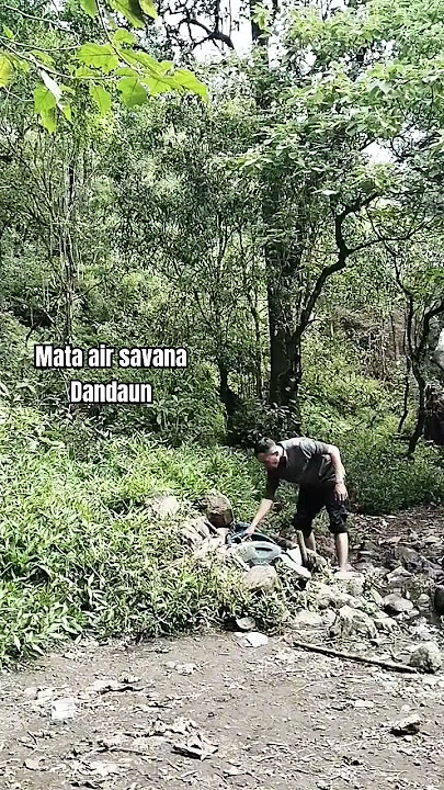 Mata air savana dandaun sembalun #explore #indonesia #nature #travel #shorts