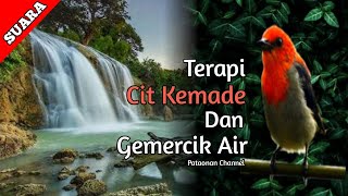 Suara terapi burung kemade dan gemercik air | Cit Keres | Cabe cabean | Pataonan Channel