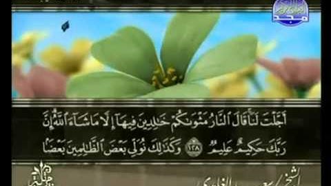 القرآن كامل الجزء ( 8 ) بصوت القارئ سعد الغامدي